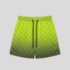 DB014-014-029-01 DB01409 High Quality Shorts